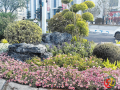 隨州高新區(qū)—— “清潔家園”啟新程 美麗街道展新顏